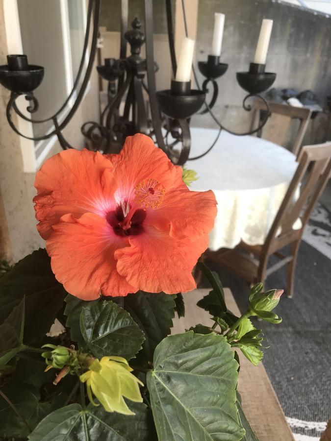 Donna'S Bed & Breakfast ไวท์ร็อค ภายนอก รูปภาพ